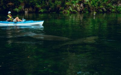 5 Family-Friendly Summer Spots in Volusia County, Florida