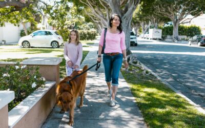 10 Family-Friendly Neighborhoods in Brevard County, Florida